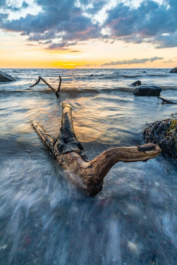 Les différents types de poêles et leurs utilisations