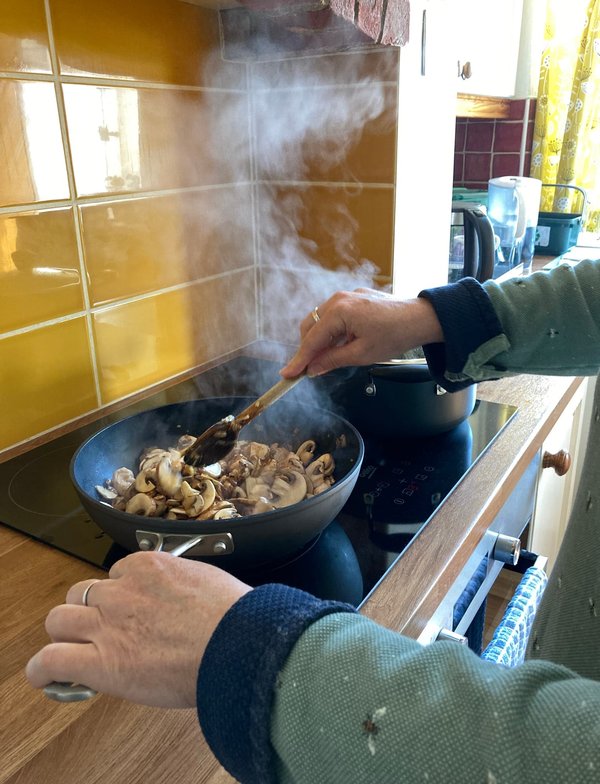 Quels sont les critères à considérer lors de l'achat d'une plaque de cuisson à induction à 2 feux ?